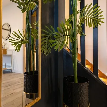 Vrancic ماندري